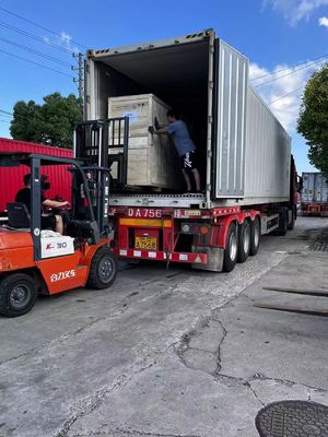 12g 14g 16g Macchina di maglieria a colletto piatto computerizzata per maglieria